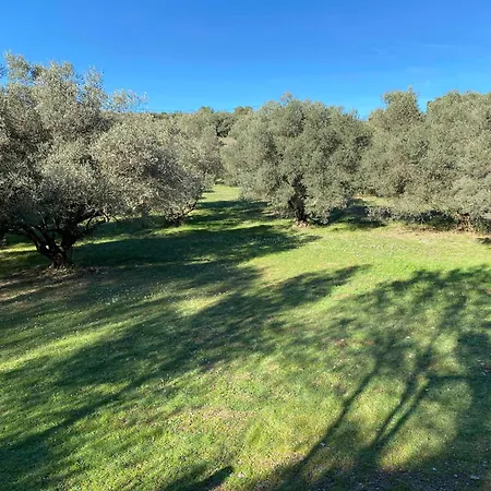 Couette-café De Ponge