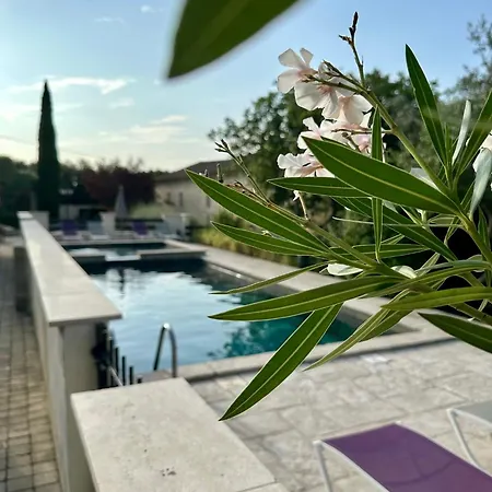 De Ponge Bed and breakfast 4*