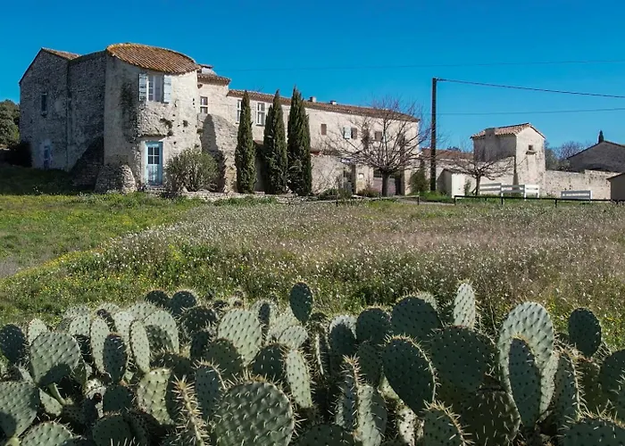 ベッド・アンド・ブレックファスト De Ponge 4*