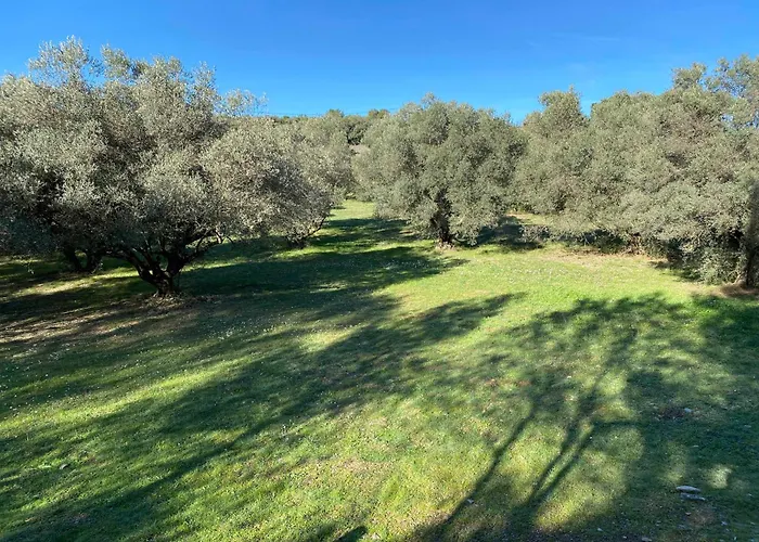 Bed & Breakfast De Ponge